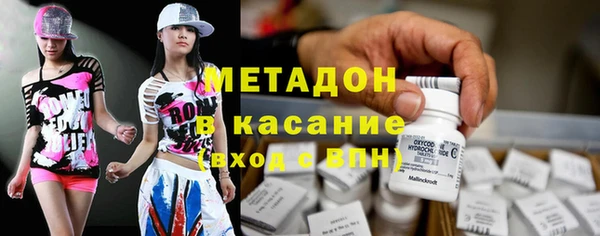 стаф Алексин
