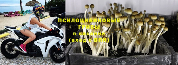 стаф Алексин