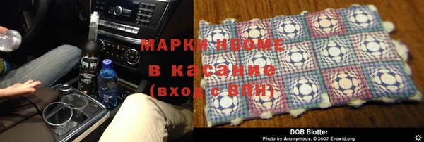 стаф Алексин