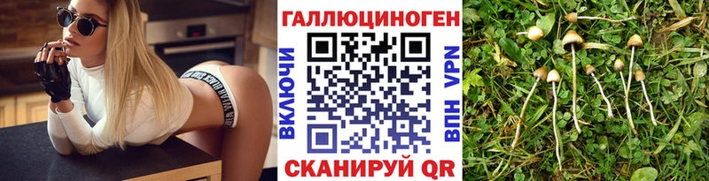 гидра сайт  Нелидово  Галлюциногенные грибы MAGIC MUSHROOMS 