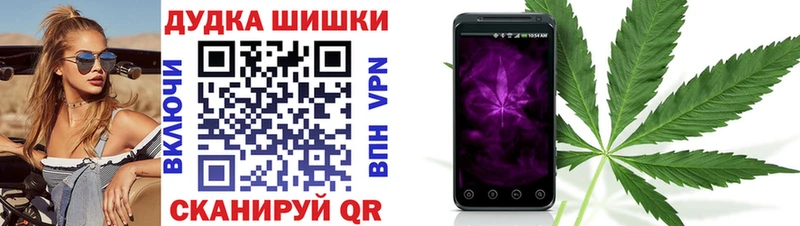 Шишки марихуана план Нелидово